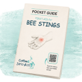 pocket guide teal bg